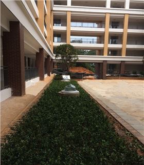 紅橋中學(xué)光導(dǎo) 紅橋中學(xué)光導(dǎo)