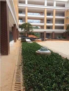 長沙紅橋中學(xué)光導(dǎo) 長沙紅橋中學(xué)光導(dǎo)